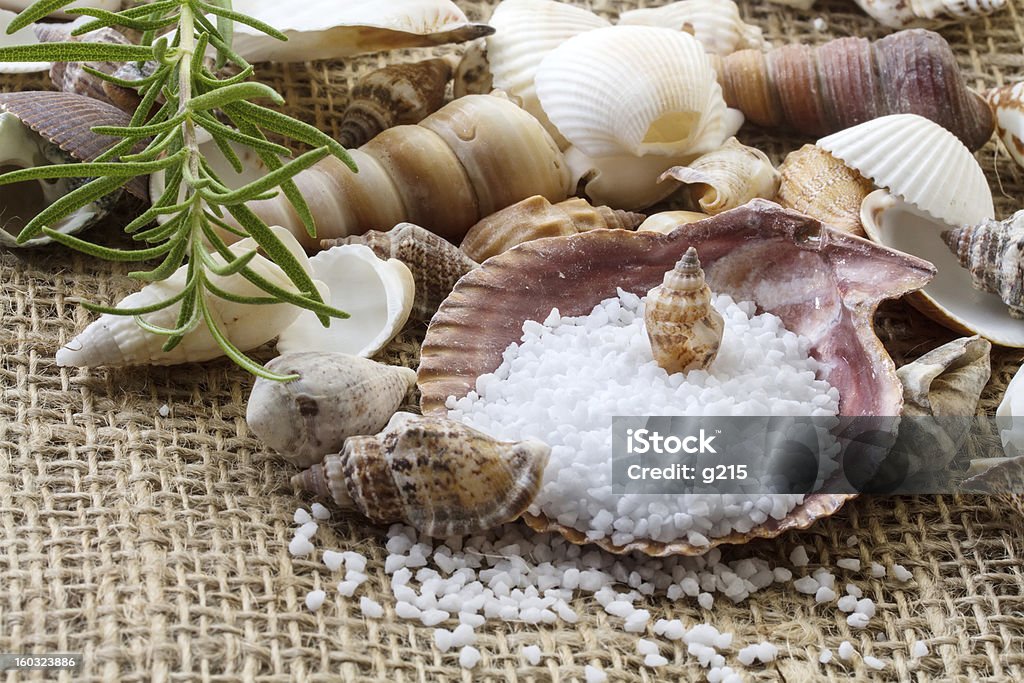 Sal do mar, conchas e alecrim - Foto de stock de Alecrim royalty-free