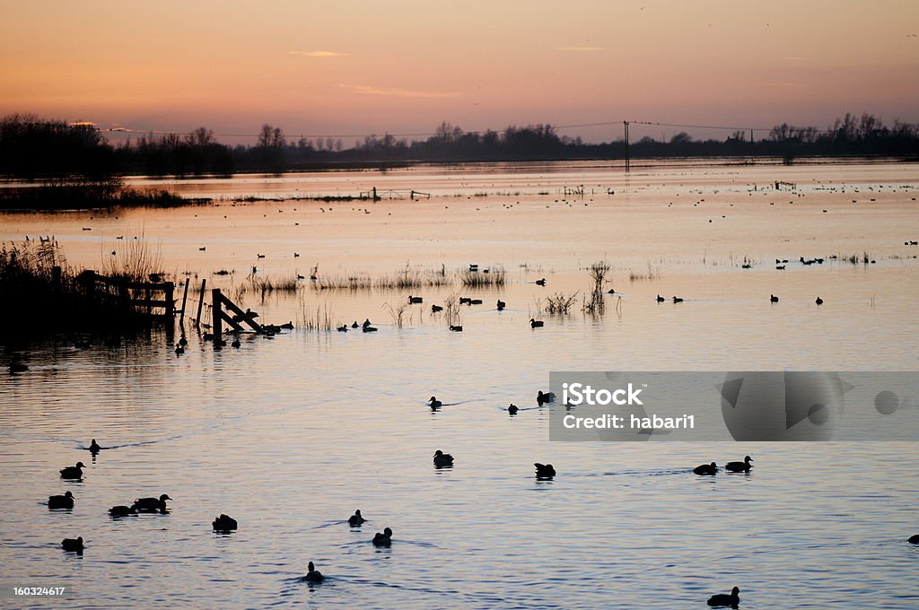 Sonnenuntergang über viel wetlands. - Lizenzfrei Abenddämmerung Stock-Foto