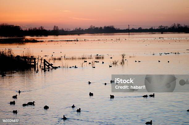 Puesta De Sol Sobre Ilumina Las Regiones Húmedas Foto de stock y más banco de imágenes de Agua - Agua, Aire libre, Aislado