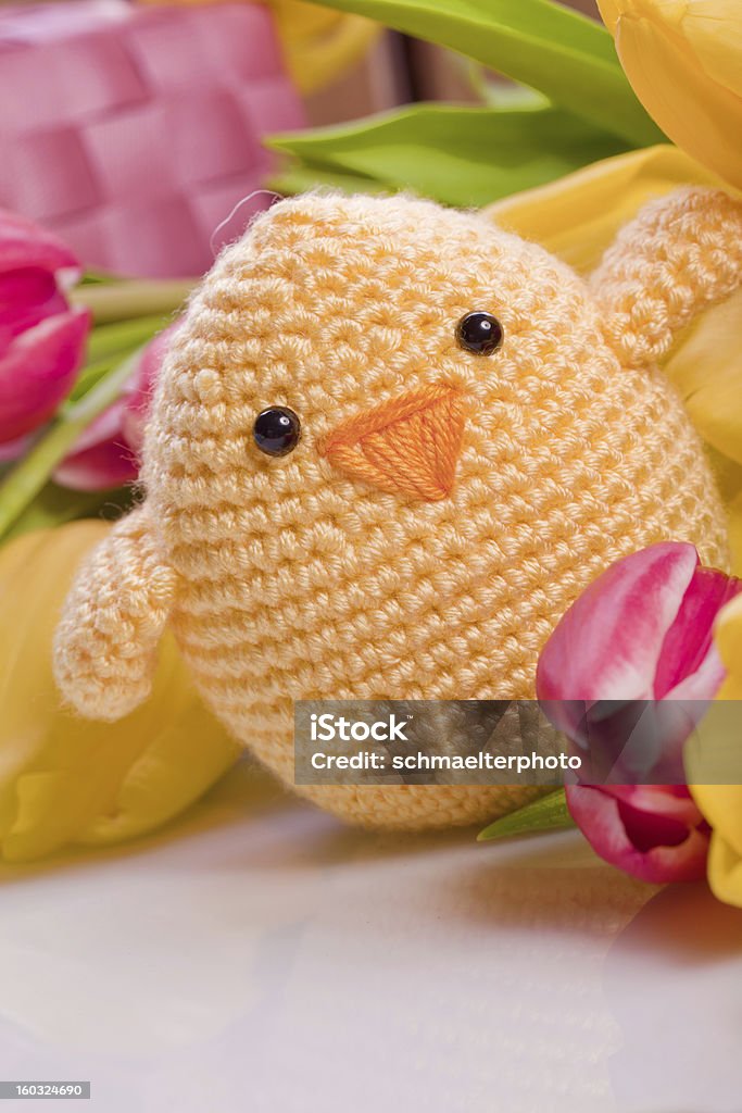 decoration chick and tulip decoration chick and tulip for easter holidays Anniversary Stock Photo