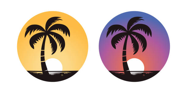 illustrations, cliparts, dessins animés et icônes de palmiers vectoriels, jeu d’icônes de palmier isolé. silhouettes de palmiers sur fond de coucher de soleil. modèle de conception pour le concept tropical, vacances, plage, été. illustration vectorielle. vue de face - text surfing surf palm tree