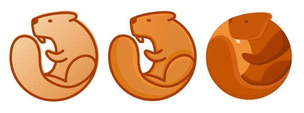 illustrations, cliparts, dessins animés et icônes de modèle de conception de jeu de variantes de logos de castor. mascotte de personnage de rongeur. illustration vectorielle sur fond blanc - beaver canada north america rodent