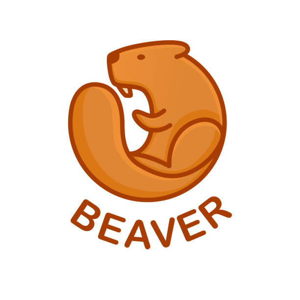 illustrations, cliparts, dessins animés et icônes de modèle de conception de logo de castor. mascotte de personnage de rongeur. illustration vectorielle sur fond blanc - beaver canada north america rodent