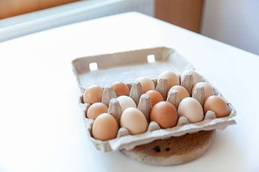 Large egg tray isolated on white background close-up