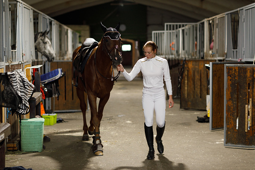 Woman rider jockey walking with horse at stable and preparing horse racing or jumping competition