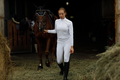 Woman rider jockey at stable preparing horse racing or jumping competition