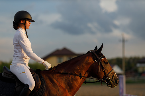 Woman rider jockey profile in helmet and white uniform preparing horse racing