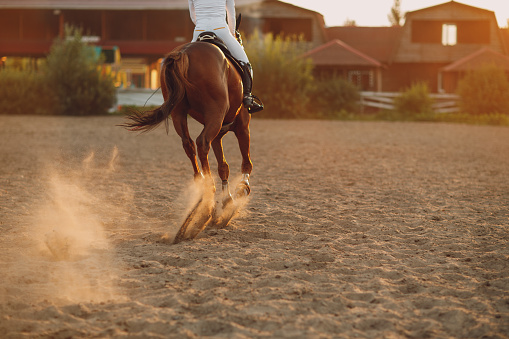 Woman rider jockey riding galloping horse racing at sand
