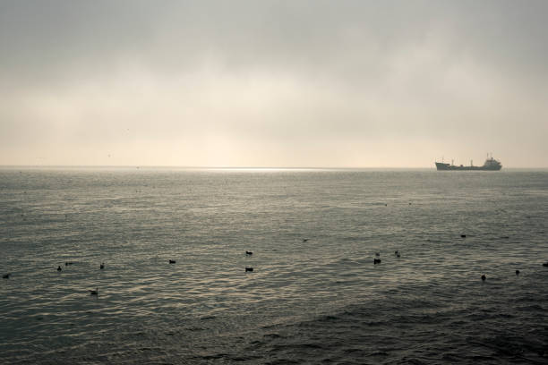 Ship on the Bosphorus in Istanbul, Turkey