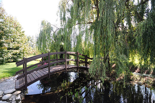 istock Wooden Bridge in the Park 160327239