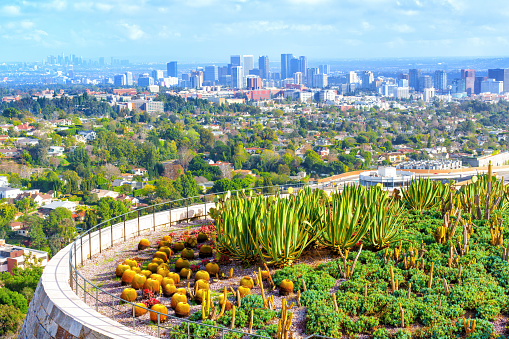 Panoramic view of Los Angeles from Getty Center's lush Cactus Garden