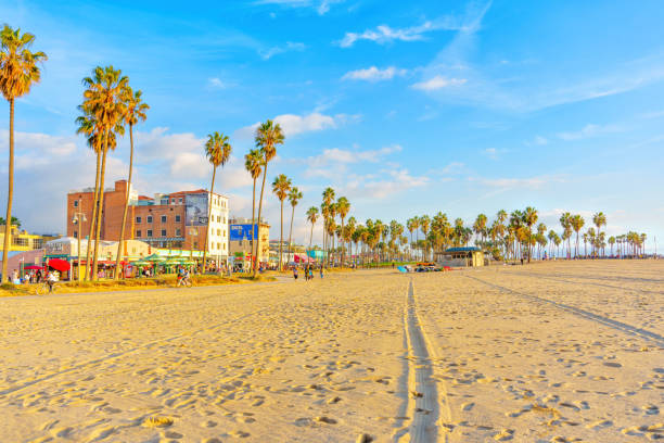 The pier and the sand beach with a lifeguard hut at sunset, Venice Beach, California, United States
