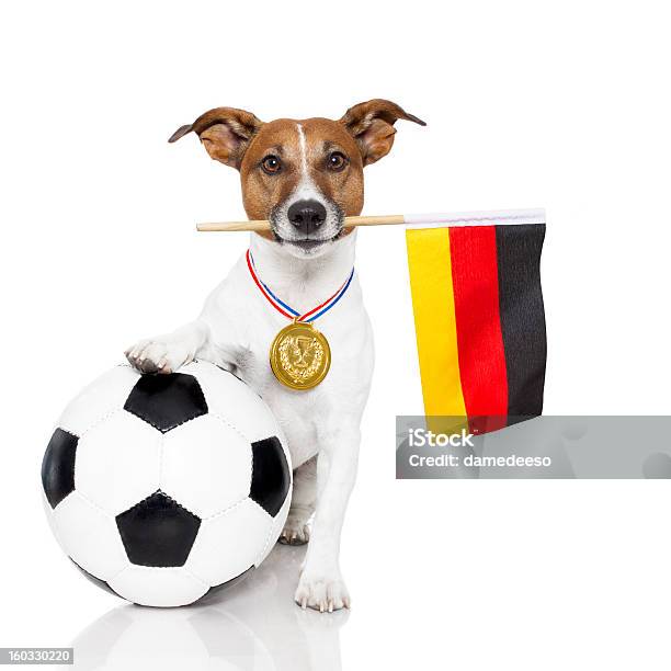 Perro De Fútbol Con La Bandera Medalla Y Foto de stock y más banco de imágenes de Fútbol - Fútbol, Pelota de fútbol, Perro