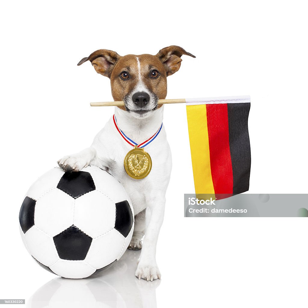 Cane come calcio con medaglia e bandiera - Foto stock royalty-free di Calcio - Sport