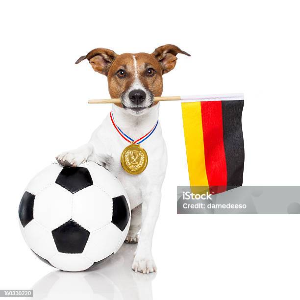 Cane Come Calcio Con Medaglia E Bandiera - Fotografie stock e altre immagini di Calcio - Sport - Calcio - Sport, Cane, Pallone da calcio