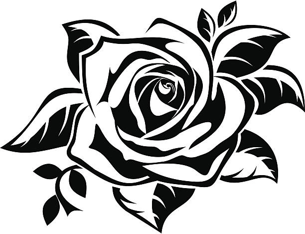 ilustraciones, imágenes clip art, dibujos animados e iconos de stock de negra silueta de rosa con hojas. ilustración vectorial. - silhouette beautiful flower head close up