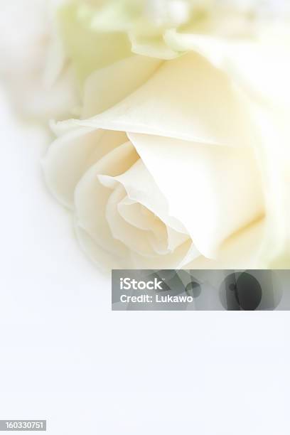 Ramo De Bodas Foto de stock y más banco de imágenes de Aniversario - Aniversario, Aniversario de boda, Blanco - Color