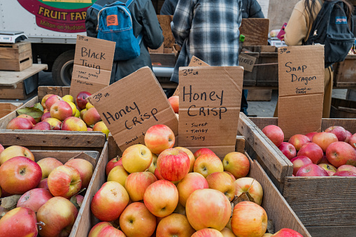 November 23, 2022 - New York, USA: Honey crisp apples on sale at the Grow NYC Union Square Greenmarket, a year-round farmers market with various farm and small batch food producers.