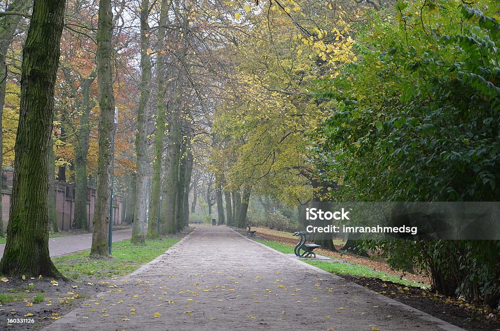 Linhas de caminho no Outono temporada em Bruges, Bélgica - Royalty-free Amarelo Foto de stock