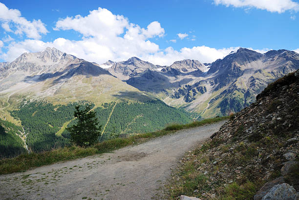 istock Alps in the Vinschgau 160331281
