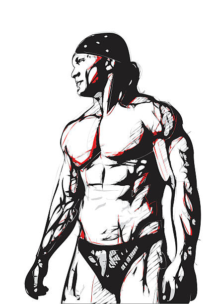이 bodybuilder - wrestling human muscle muscular build strength stock illustrations
