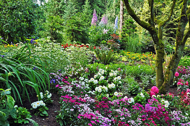 istock Colorful woodland garden 160331556