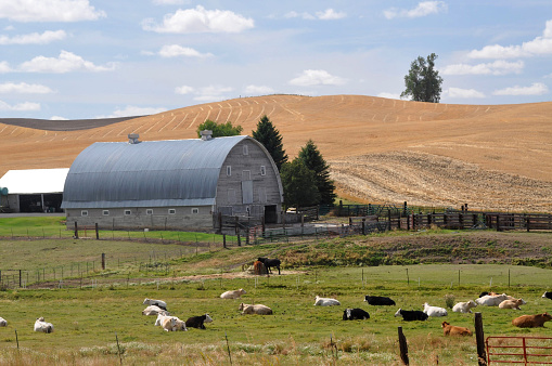 field with grain silos