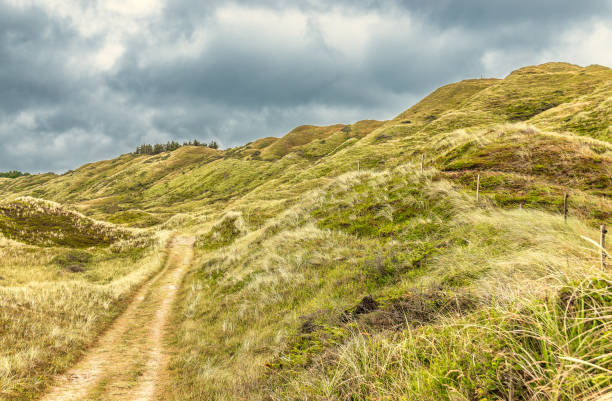 Hills and slopes at Svinkloes beach in Thy, Denmark