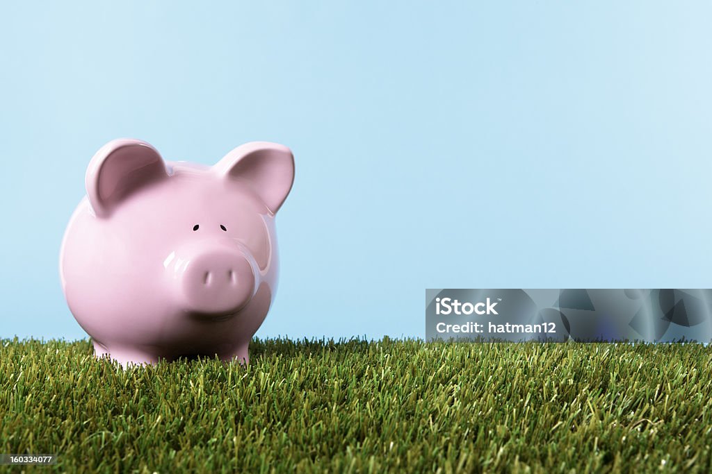 Piggy Bank in grünen Wiese - Lizenzfrei Bankgeschäft Stock-Foto