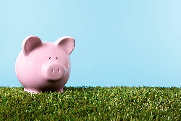 tirelire en forme de cochon dans green meadow - retirement currency budget coin photos et images de collection