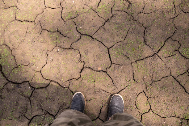 istock dryad out land cracked dirt graphic resources backgrounds drought environment 1603348928
