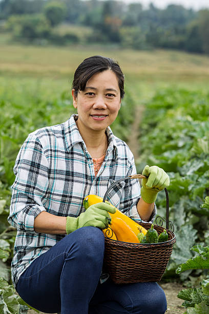 istock Mature women with Zucchini in Basket 160337314