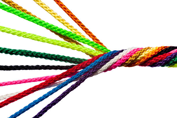 istock Individuals Unite Together Into Team, Family, Network 160337382
