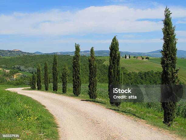 Val Dorcia Paesaggio Con Pienza E Capella Vitaleta In Background - Fotografie stock e altre immagini di Albero