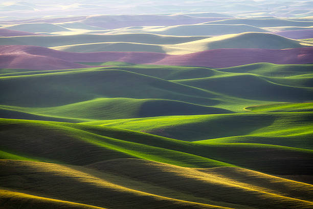 Palouse Rolling Hills Sunset from Steptoe Butte, The Palouse, Washington State whitman county washington state stock pictures, royalty-free photos & images