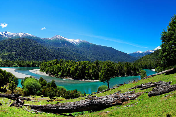 River in Patagonia, El Pangue, Chile, South America