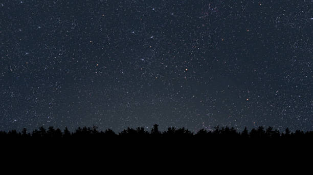 istock night sky in the forest with stars and moon 1603414636