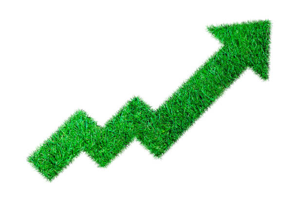 istock growth diagram of grass on white background 1603420399