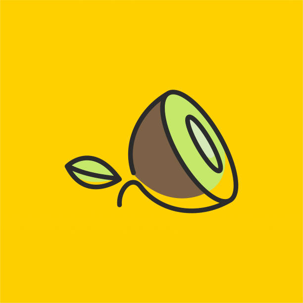 концептуальный шаблон дизайна логотипа киви - printout color image food food and drink stock illustrations