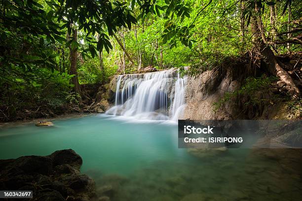 Cascata Nel Parco Nazionale - Fotografie stock e altre immagini di Albero - Albero, Ambientazione esterna, Andare giù