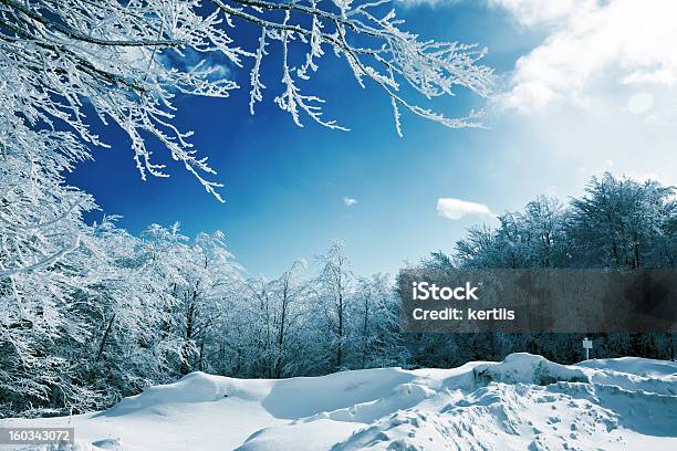 Naturaleza De Invierno Foto de stock y más banco de imágenes de Aire libre - Aire libre, Azul, Belleza de la naturaleza