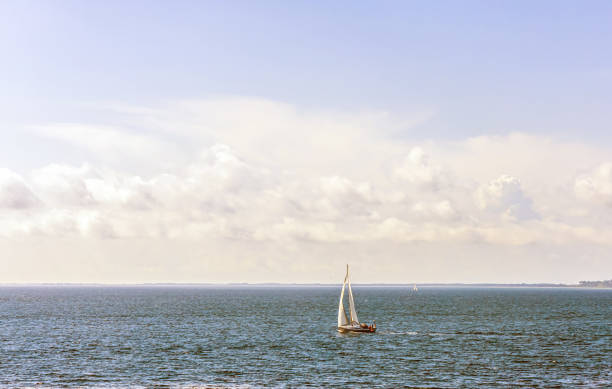 istock Sailbot at sea on a sunny day. 1603459430