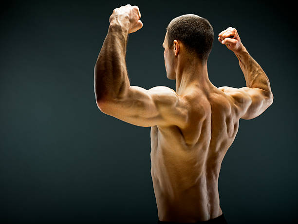 ideale corpo maschile - human muscle back muscular build men foto e immagini stock