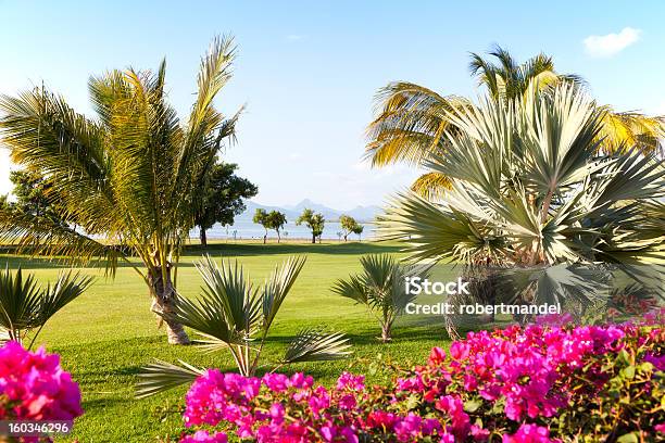 Wunderschöne Mauritius Stockfoto und mehr Bilder von Golfplatz - Golfplatz, Insel Mauritius, Insel