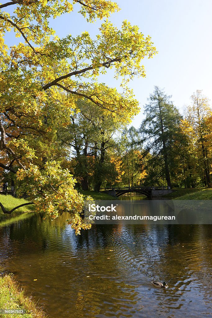 Herbst Landschaft - Lizenzfrei Baum Stock-Foto