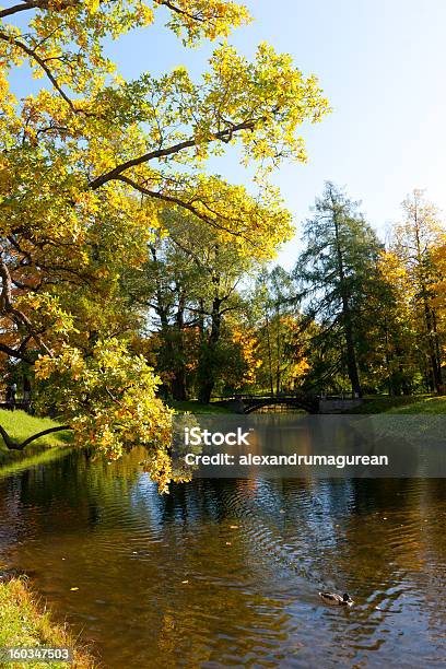 Herbst Landschaft Stockfoto und mehr Bilder von Baum - Baum, Blatt - Pflanzenbestandteile, Bunt - Farbton