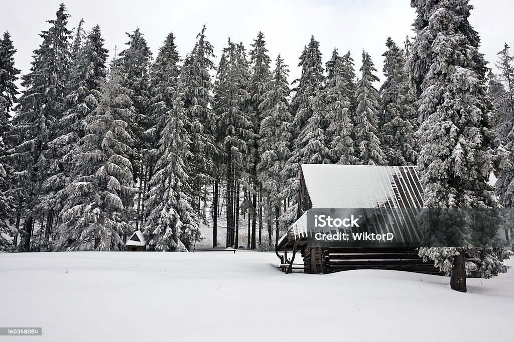 Vieille maison recouverte de neige - Photo de Arbre libre de droits