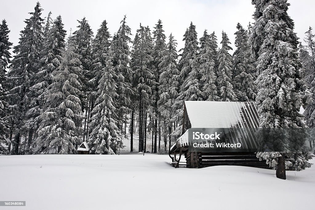 Antiga casa cobertas com neve - Foto de stock de Bosque - Floresta royalty-free