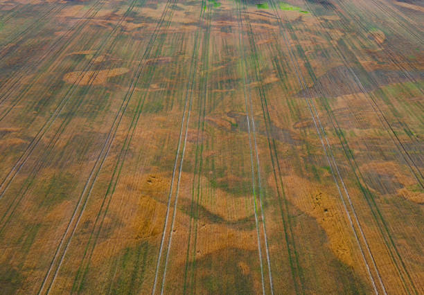 istock Cultivated fields in unusual colors. 1603485518