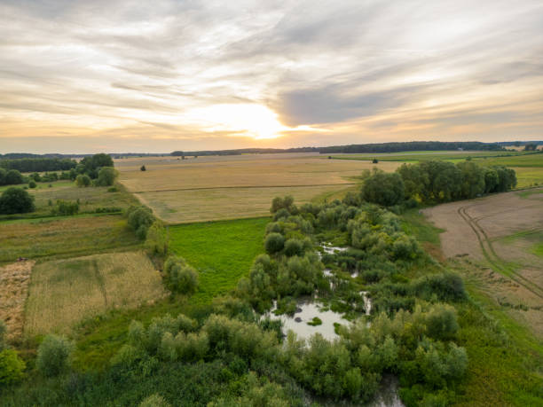 istock Sunset over crop fields and wetlands. 1603487114